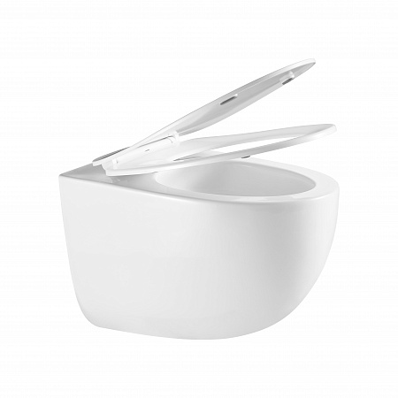 Подвесной унитаз безободковый Terminus Енисей Monolit 560х390 белый Брянск - фото 7 Подвесной унитаз безободковый Terminus Енисей Monolit 560х390 белый Брянск - фото 7