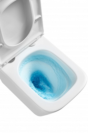 Подвесной унитаз безободковый Terminus Ватикан Monolit 490х340 белый Брянск - фото 8 Подвесной унитаз безободковый Terminus Ватикан Monolit 490х340 белый Брянск - фото 8