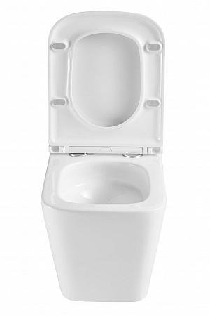 Подвесной унитаз безободковый Terminus Ватикан Monolit 490х340 белый Брянск - фото 7 Подвесной унитаз безободковый Terminus Ватикан Monolit 490х340 белый Брянск - фото 7