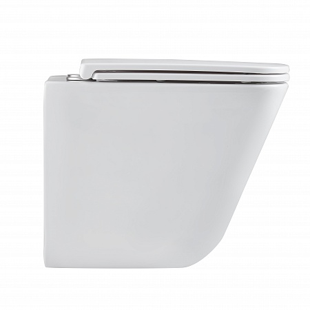 Подвесной унитаз безободковый Terminus Ватикан Monolit 490х340 белый Брянск - фото 4 Подвесной унитаз безободковый Terminus Ватикан Monolit 490х340 белый Брянск - фото 4