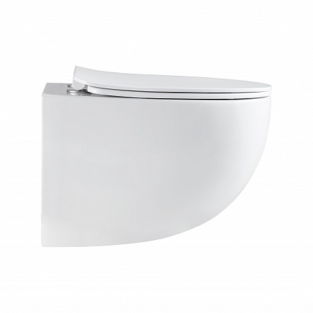 Подвесной унитаз безободковый Terminus Енисей Monolit 560х390 белый Брянск - фото 4 Подвесной унитаз безободковый Terminus Енисей Monolit 560х390 белый Брянск - фото 4