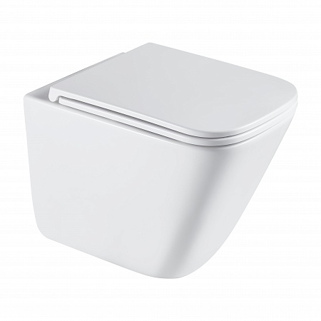 Подвесной унитаз безободковый Terminus Ватикан Monolit 490х340 белый Брянск - фото 2 Подвесной унитаз безободковый Terminus Ватикан Monolit 490х340 белый Брянск - фото 2