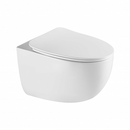 Подвесной унитаз безободковый Terminus Енисей Monolit 560х390 белый Брянск - фото 2 Подвесной унитаз безободковый Terminus Енисей Monolit 560х390 белый Брянск - фото 2