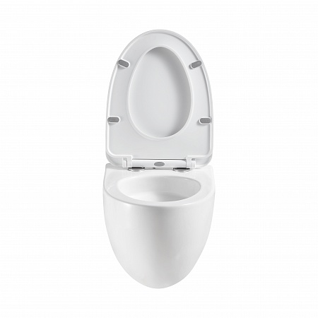 Подвесной унитаз безободковый Terminus Енисей Monolit 560х390 белый Брянск - фото 5 Подвесной унитаз безободковый Terminus Енисей Monolit 560х390 белый Брянск - фото 5