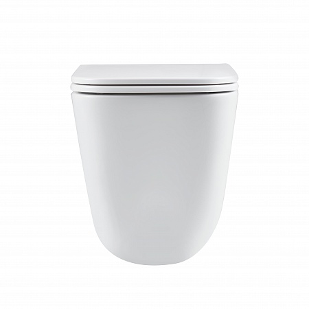 Подвесной унитаз безободковый Terminus Ватикан Monolit 490х340 белый Брянск - фото 6 Подвесной унитаз безободковый Terminus Ватикан Monolit 490х340 белый Брянск - фото 6