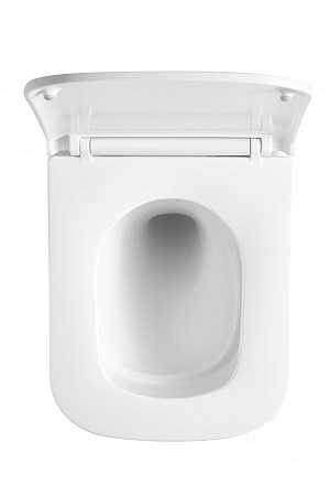 Подвесной унитаз безободковый Terminus Ватикан Monolit 490х340 белый Брянск - фото 3 Подвесной унитаз безободковый Terminus Ватикан Monolit 490х340 белый Брянск - фото 3